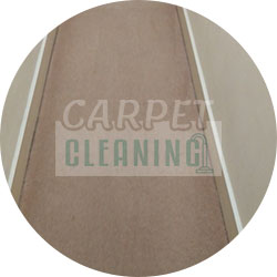 carpet cleaners