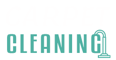 carpet cleaning logo